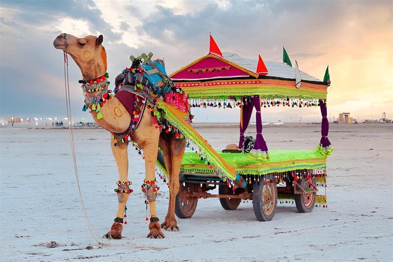 Little Rann of Kutch