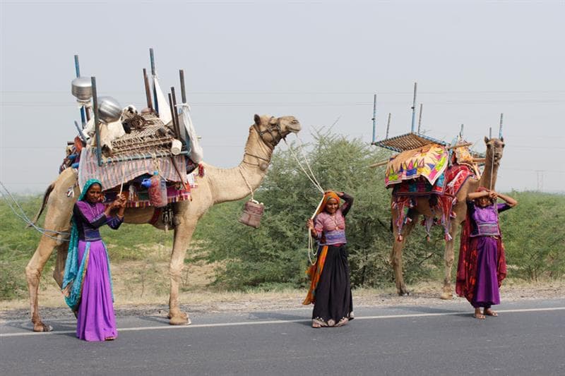 Little Rann of Kutch