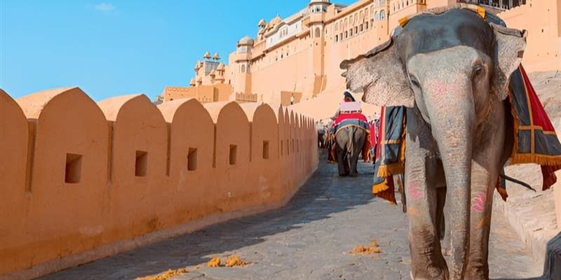Jaipur Sightseeing