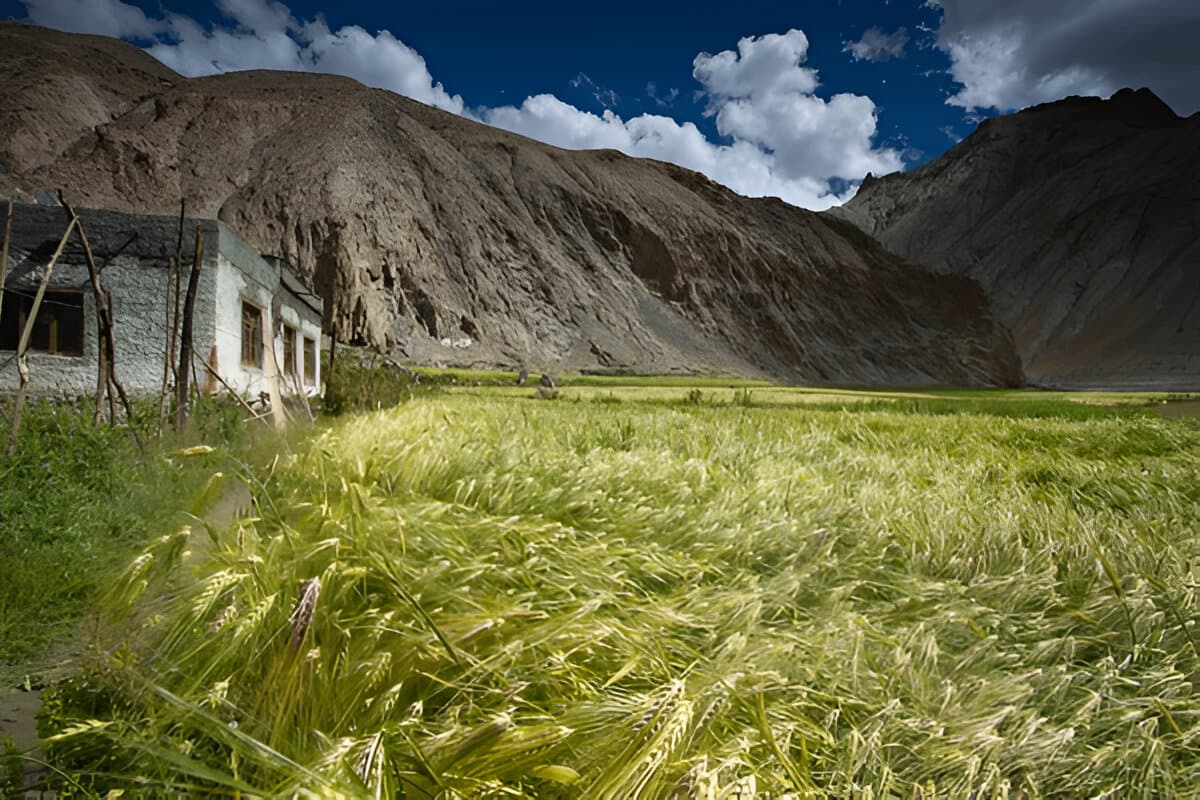 Shang Sumdo Village – Hemis