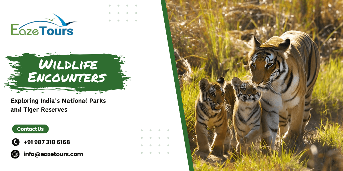 Top National Parks & Tiger Reserves in India | Eaze Tours