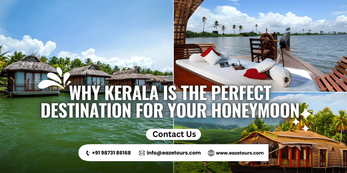 Why Kerala is the Perfect Honeymoon Destination | Romantic Tour Packages