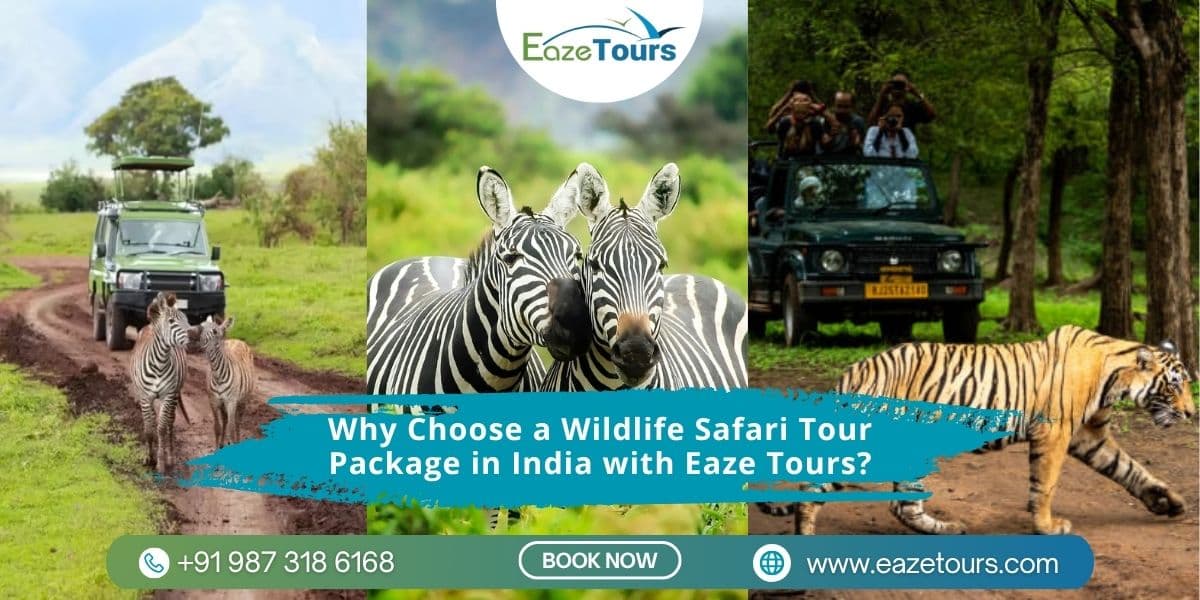 Taj Mahal and Tiger Safari India Packages | Eaze Tours
