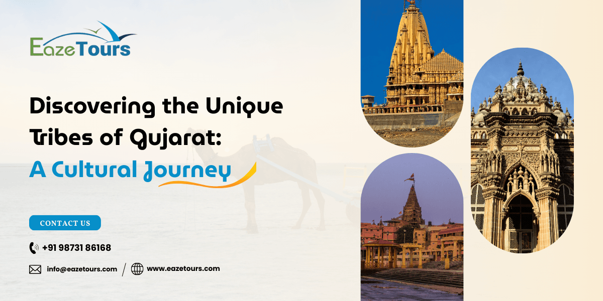 Discover Gujarat's Unique Tribal Culture | Eaze Tours India